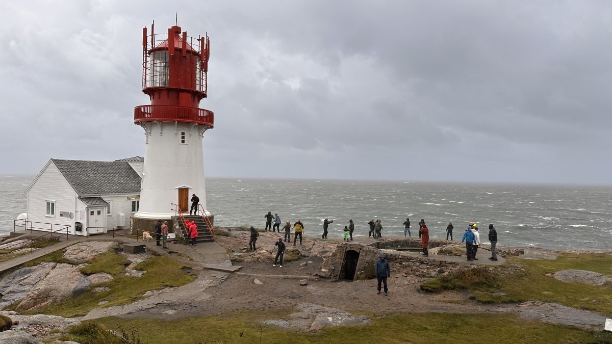 Inngangsbillett - Student